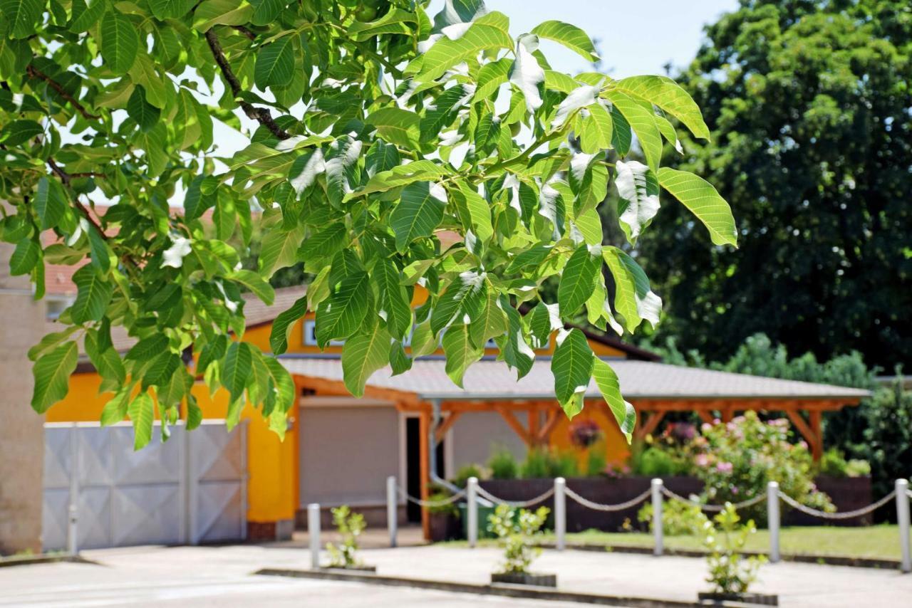 Homestay Ferienwohnung/ Ferienzimmer Asche *